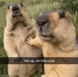 Hol up.jpg